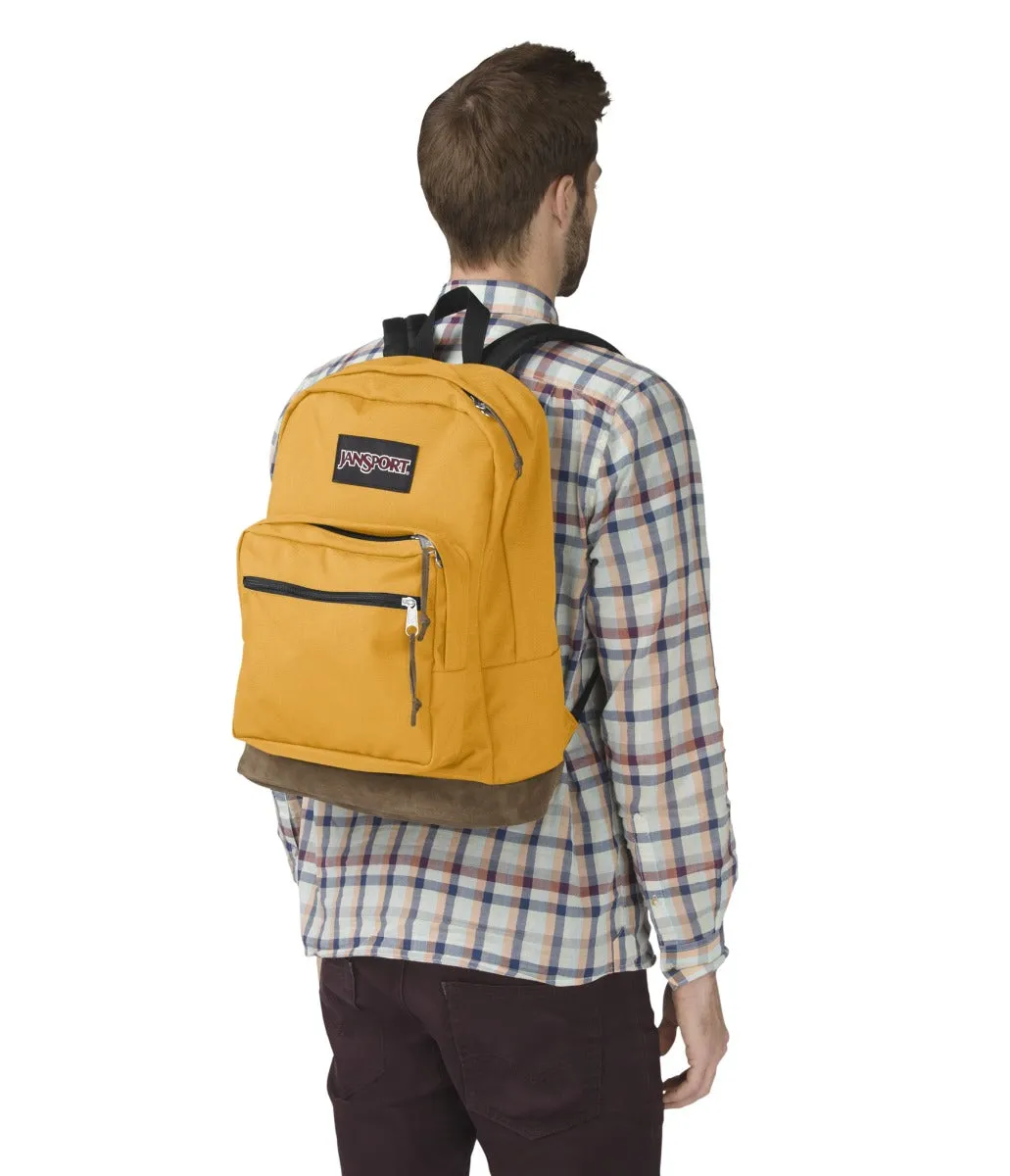 RIGHT PACK English Mustard